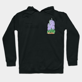 Delphinium mug Hoodie